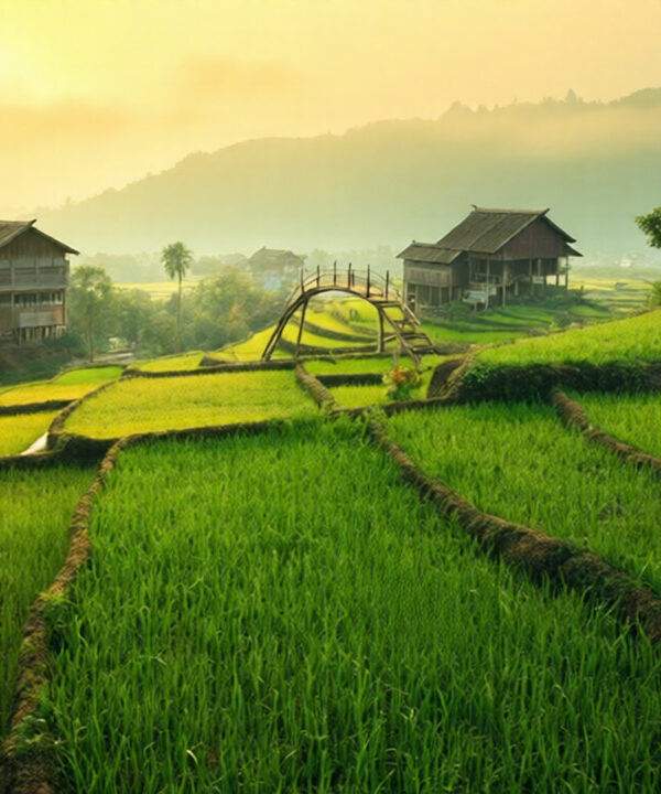 Offbeat & Rural Tours