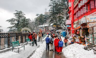 Shimla