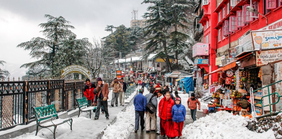 Shimla