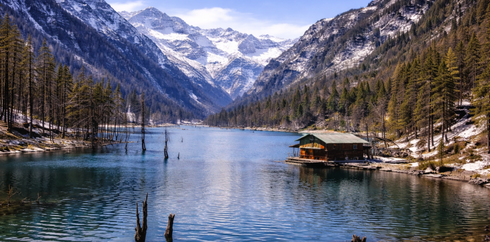 ChatGPT Image Jan 24, 2026, 10_09_55 PM