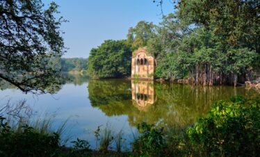 Ranthambore inception