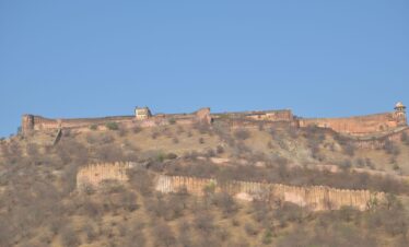 Ranthambore inception