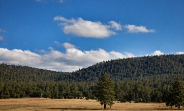 Daringbadi