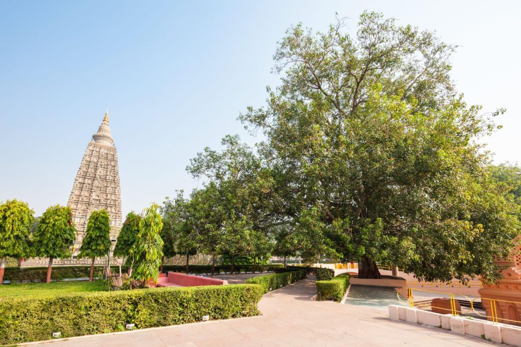 Bodhi yatra Inception