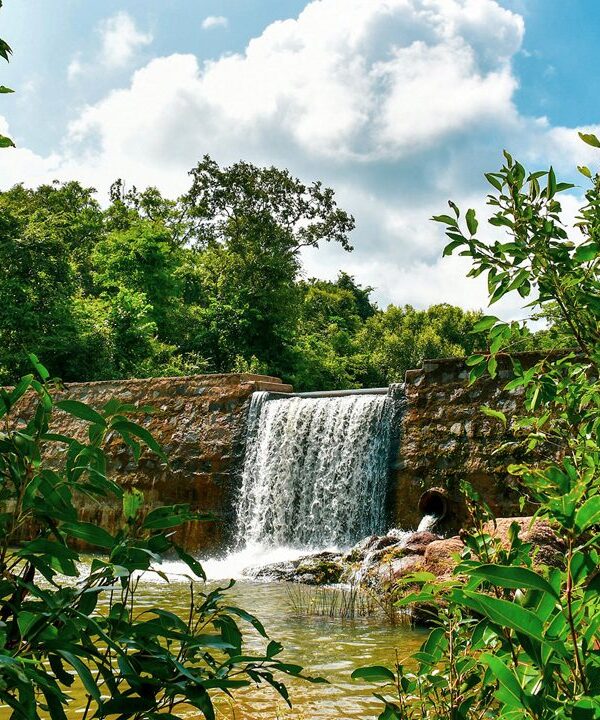 hazaribagh-national-park-ranchi-jharkhand