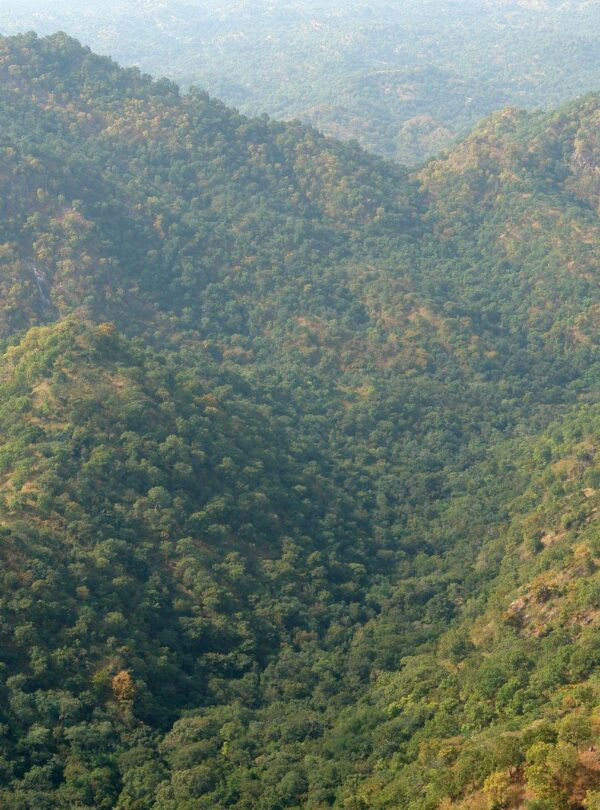 kumbhalgarg inception