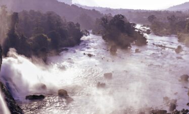 Athirappilly Waterfall Nature Tour