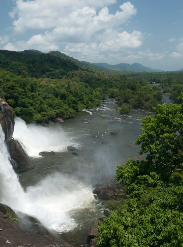 Athirappilly Waterfall Nature Tour