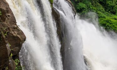 Athirappilly Waterfall Nature Tour