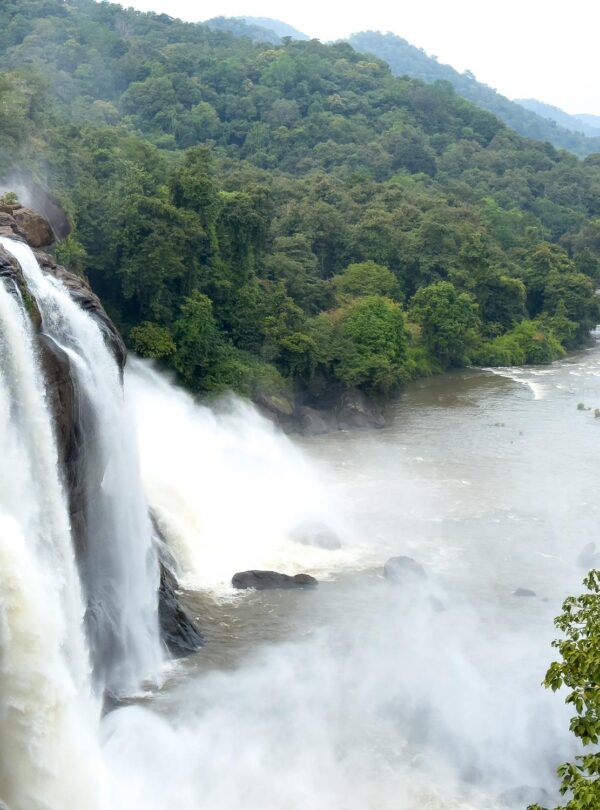 Athirappilly Waterfall Nature Tour