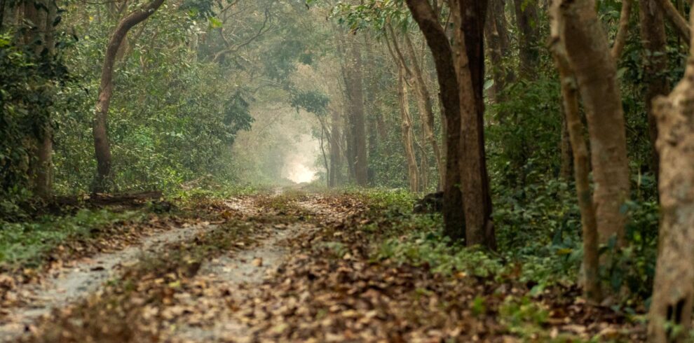 Buxa – Jayanti Jungle Trek