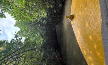 Chidambaram & Velankanni Pilgrimage Tour