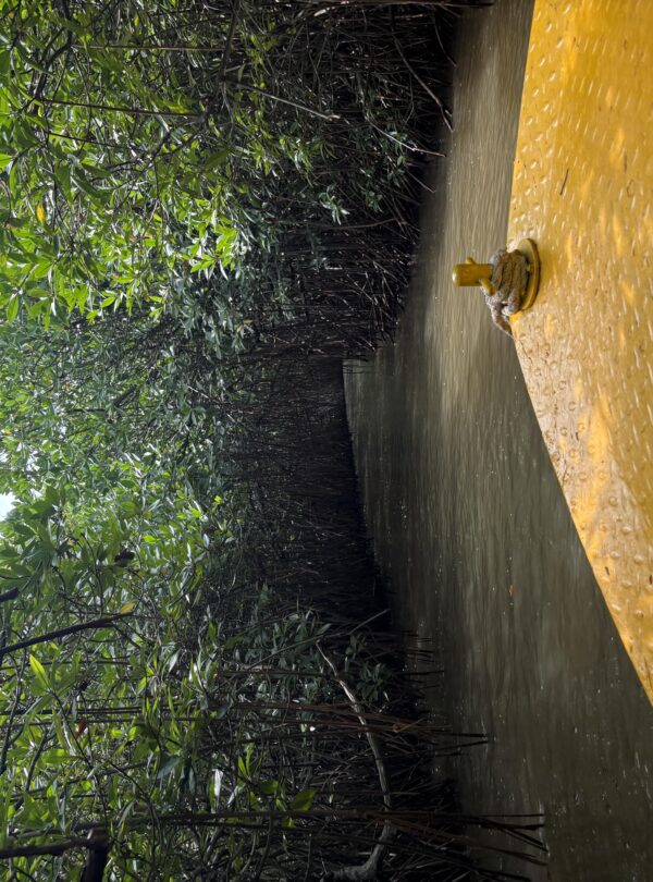 Chidambaram & Velankanni Pilgrimage Tour