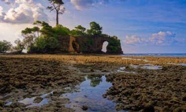 Havelock – Neil Island tour