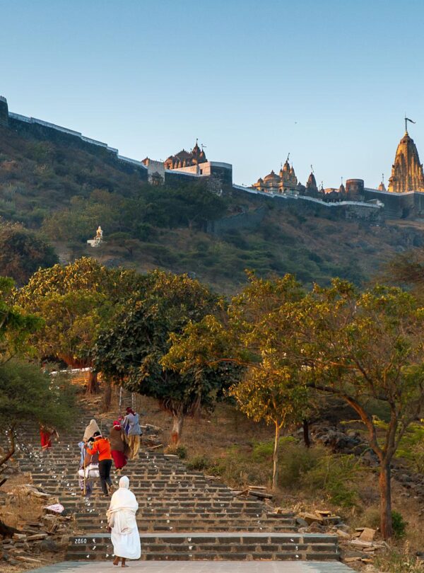 Palitana Jain Temple Pilgrimage tour
