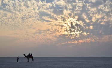 Rann of Kutch Festival Tour
