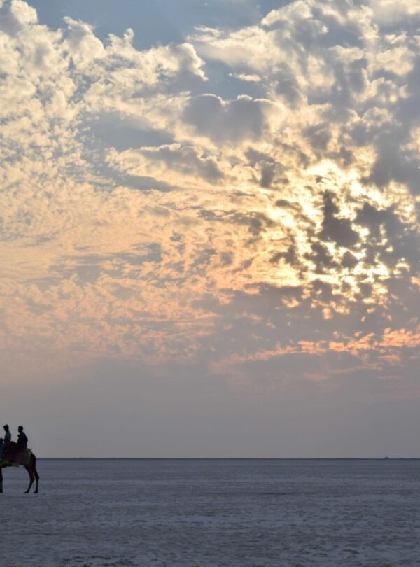 Rann of Kutch Festival Tour