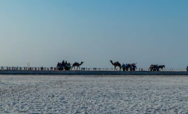 Rann of Kutch Festival Tour