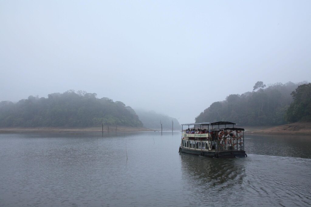 Thekkady Wildlife & Spice Plantation Tour