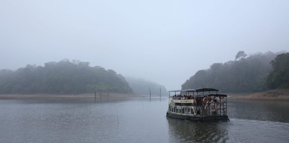 Thekkady Wildlife & Spice Plantation Tour