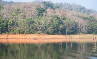 Thekkady Wildlife & Spice Plantation Tour