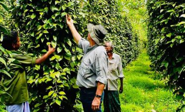 Thekkady Wildlife & Spice Plantation Tour