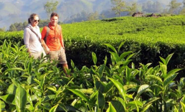 Thekkady Wildlife & Spice Plantation Tour