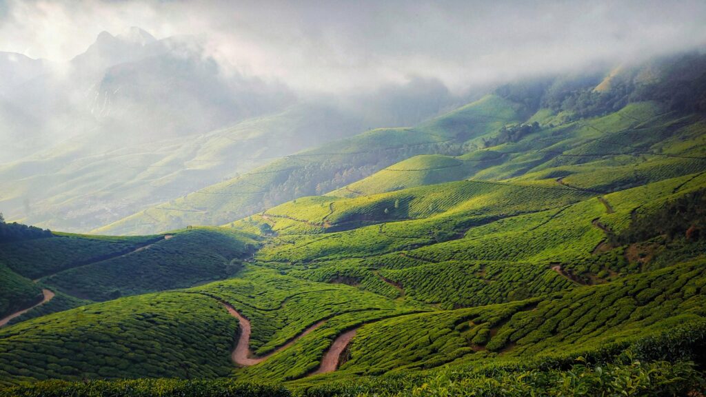 Wayanad Nature & Adventure Tour
