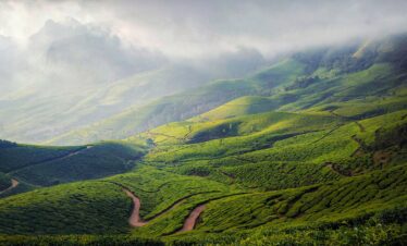 Wayanad Nature & Adventure Tour