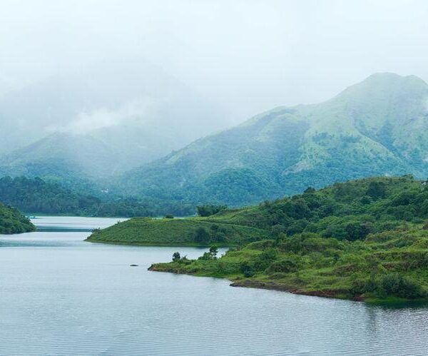 Wayanad Nature & Adventure Tour