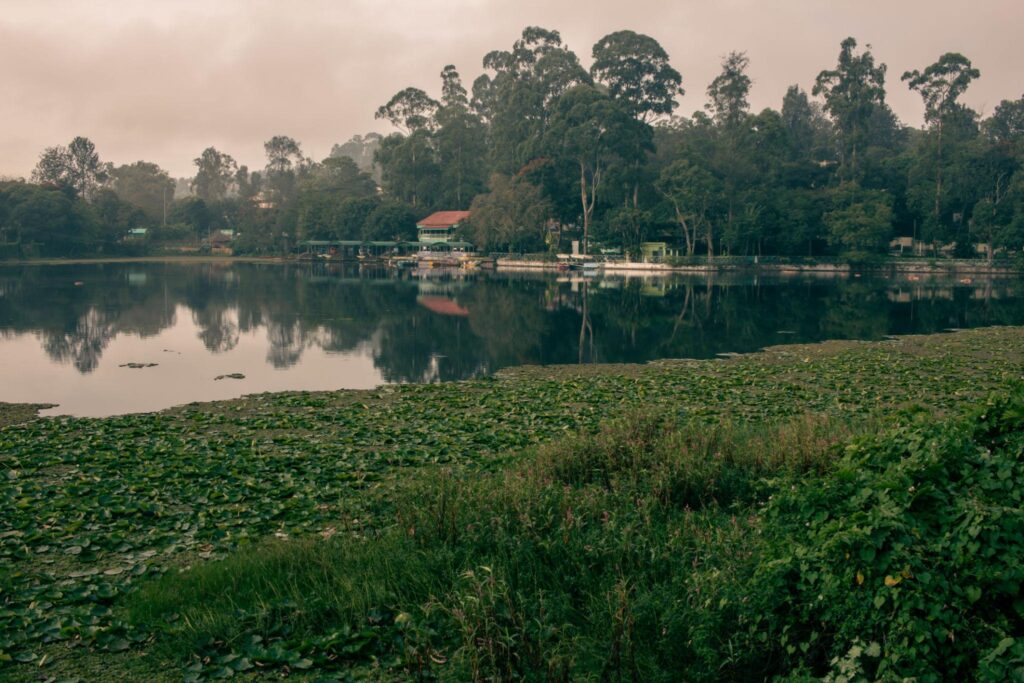 Yercaud Hill Station Tour