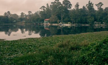 Yercaud Hill Station Tour