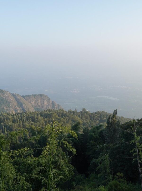 Yercaud Hill Station Tour