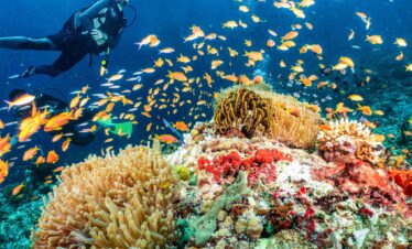 Lakshadweep Inception