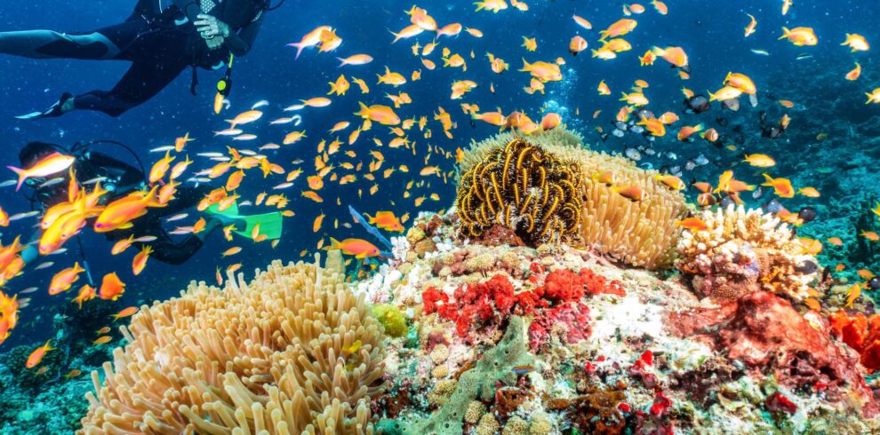 Lakshadweep Inception