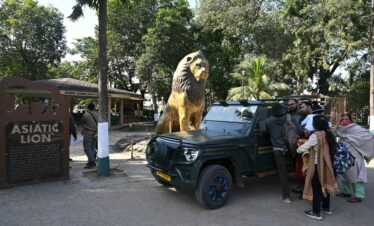 Gir National Park Wildlife Tour
