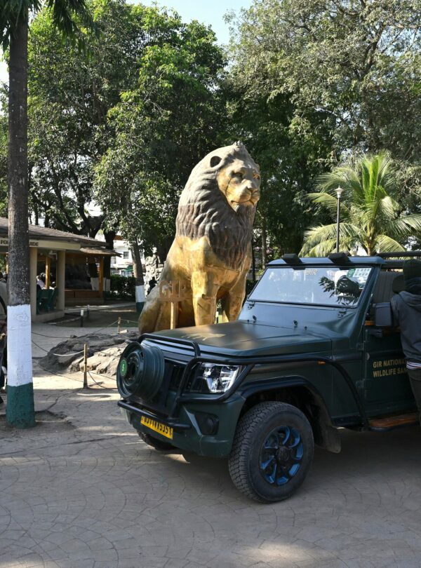 Gir National Park Wildlife Tour