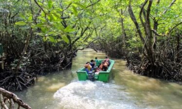 Andaman Nature & Heritage Tour