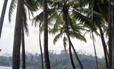 Port Blair City Discovery Tour