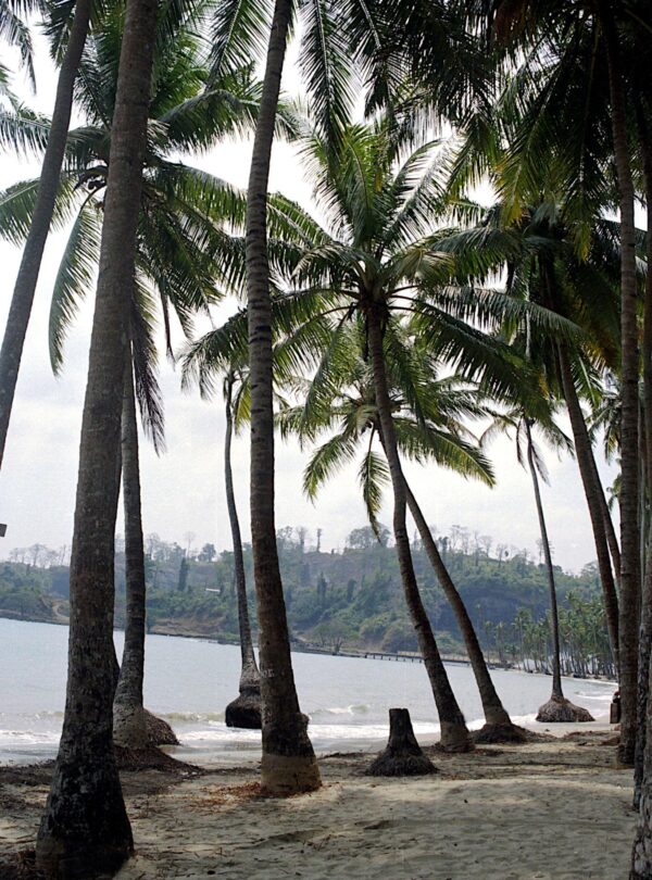 Port Blair City Discovery Tour