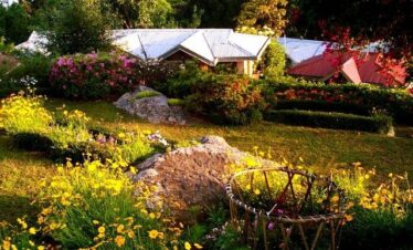 Samthar Plateau Trek